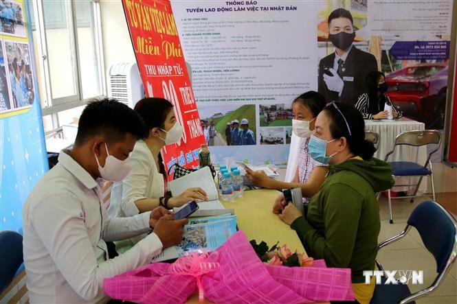 胡志明市为受疫情影响失业劳动者就业创造机会