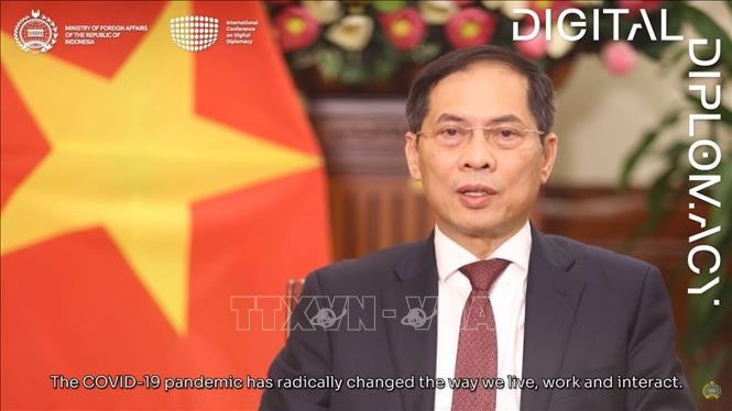 越南出席有关数字化外交的国会会议