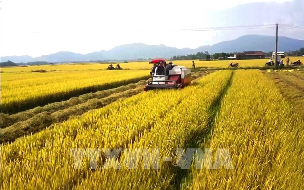 越南农林水产品今年前9月出口额同比增长15.2%