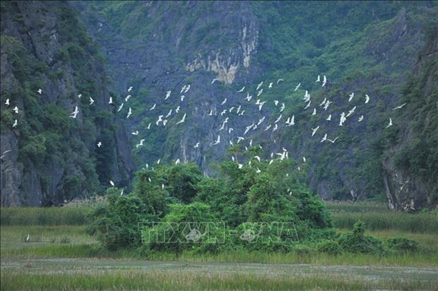 越南努力保护并可持续利用湿地资源