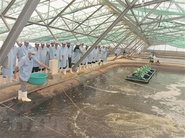 将薄辽省建设成为全国虾类行业发展中心
