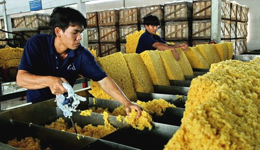 越南橡胶出口额猛增