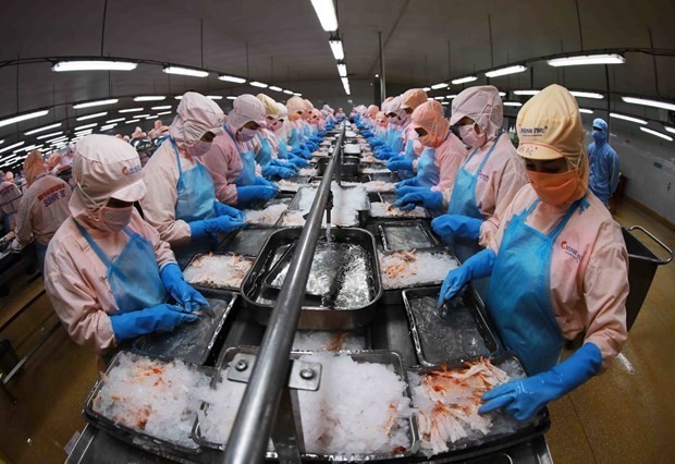 越南同东南亚各国携手恢复生产