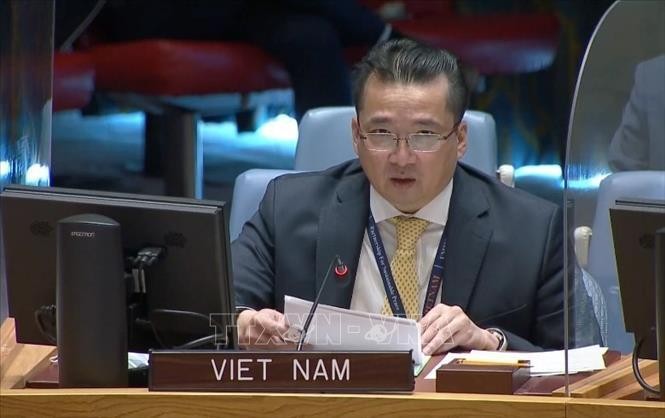 越南与联合国安理会：越南呼吁利比亚提速政治进程 按时成功进行选举
