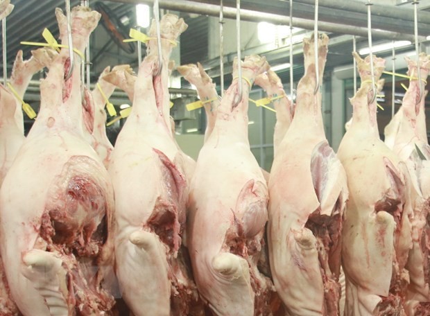 中国成为越南肉类最大出口市场