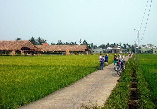 2002年国家旅游年：遗产之地田野上的越南印象