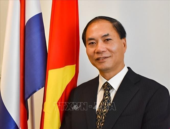 越南驻荷兰大使范越英：进一步推进两国全面伙伴关系