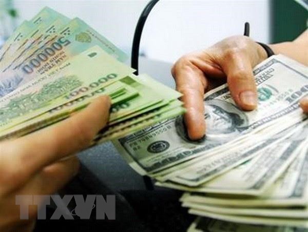 1月13日上午越南国内市场美元价格稳定 人民币价格上涨