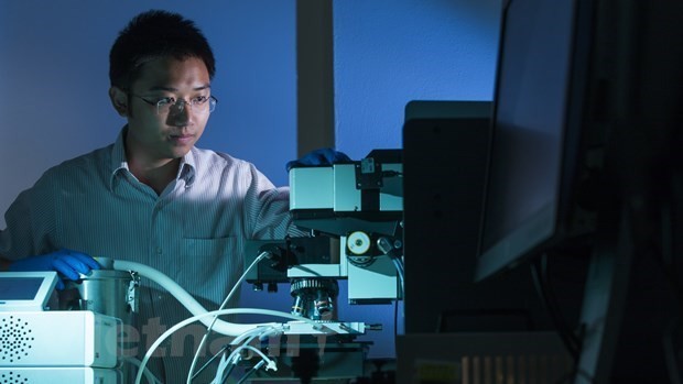 澳大利亚向越裔博士研究小组的新代太阳能电池板技术开发项目提供援助