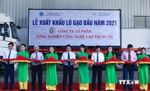 2021年初越南向新加坡和马来西亚出口1600吨大米