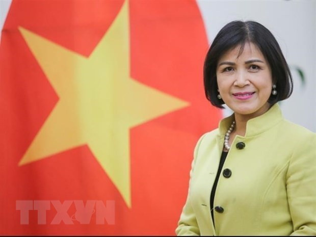 越南支持南方中心在深化发展中国家合作中的重要作用