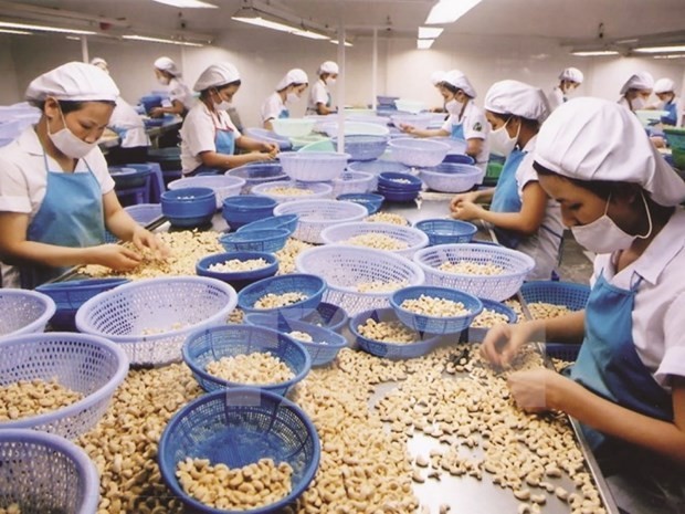 2021年前2月美国是越南农产品的最大出口市场