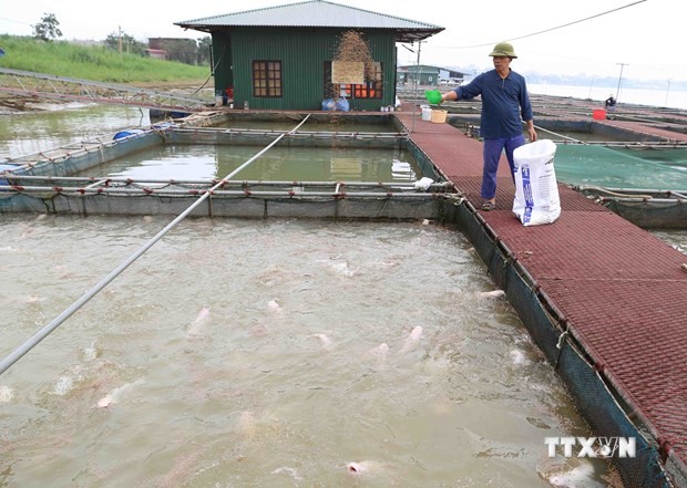 隆安省促进工业化水产养殖