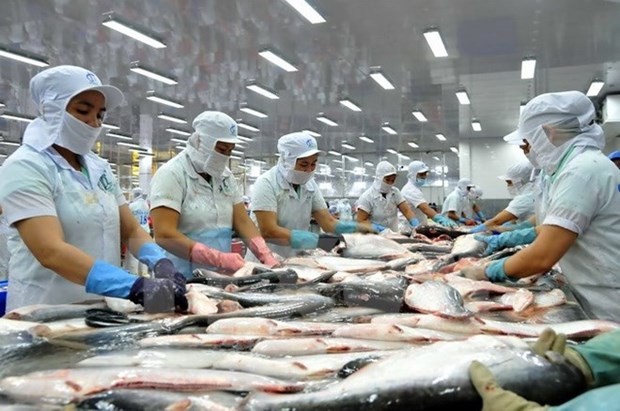 越南查鱼对巴西市场出口的机会巨大