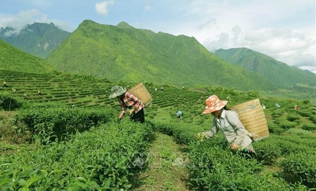 越南努力降低山区和边境地区少数民族贫困率