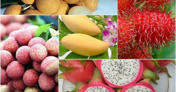 到2025年越南水果出口额将突破50亿美元