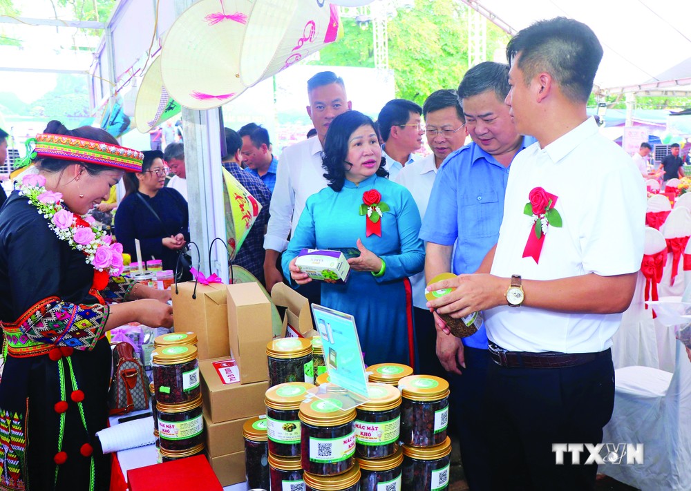 各位代表参观越北六省一乡一品农产品和饮食文化节的展位