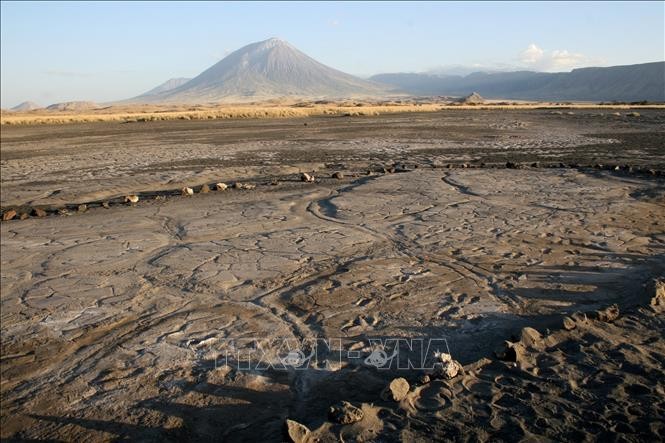 Phát hiện hơn 400 dấu chân người cổ đại tại châu Phi
