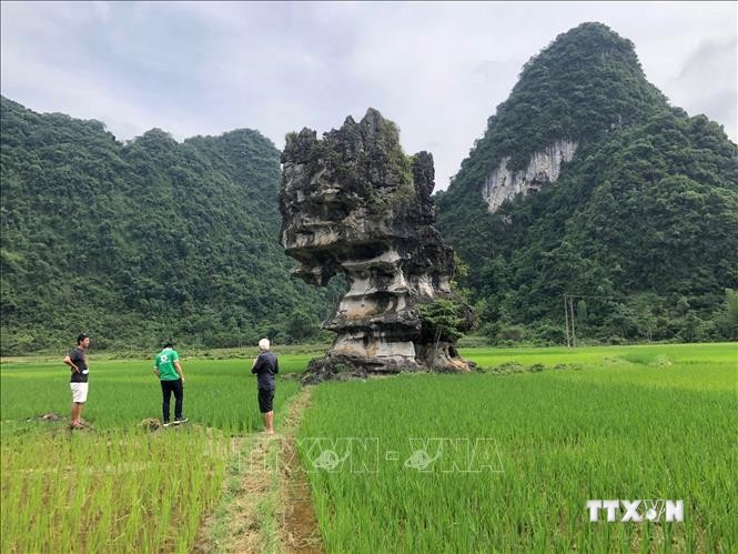 Đoàn chuyên gia mạng lưới Công viên địa chất toàn cầu UNESCO đến trải nghiệm điểm di sản mới “Hòn đá mồ côi” tại thung lũng Bản Hau, xã Cao Thăng (Trùng Khánh). Ảnh: Chu Hiệu - TTXVN.