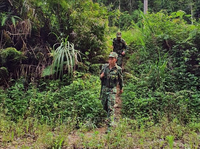 Chiến sỹ đồn Biên phòng Mường Pồn tuần tra trên một lối mòn. Ảnh: Phan Tuấn Anh - TTXVN