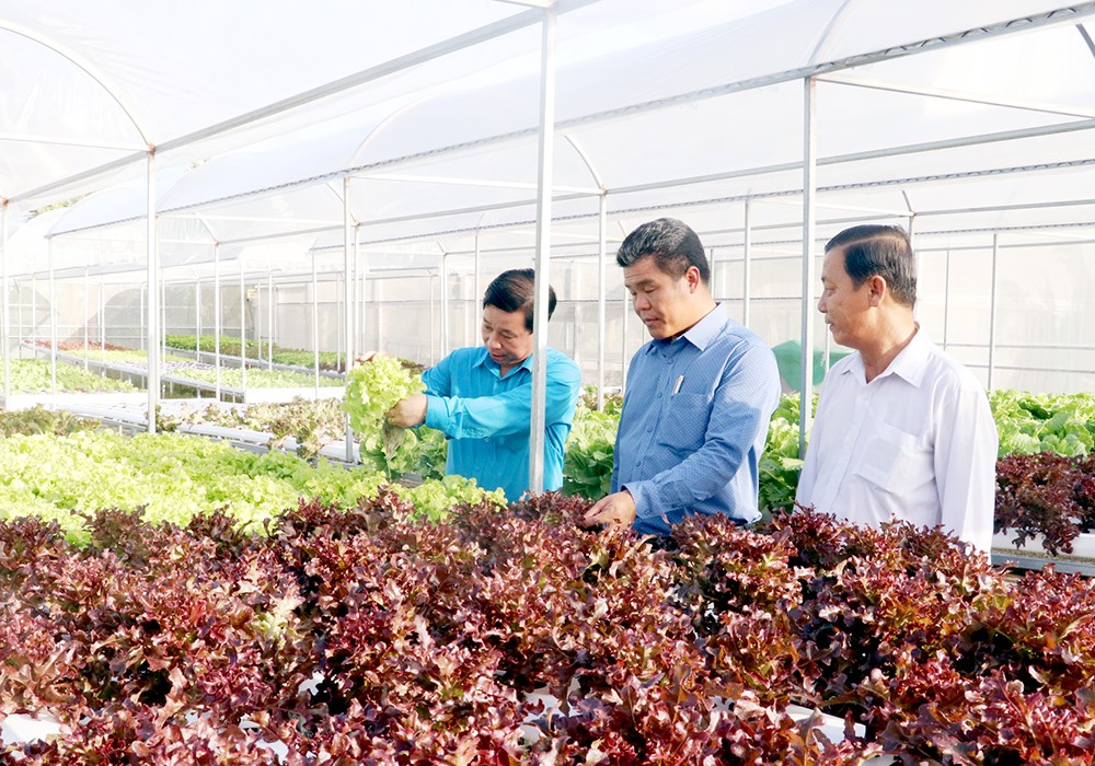 Phú Quốc phát triển nông nghiệp sinh thái gắn với du lịch
