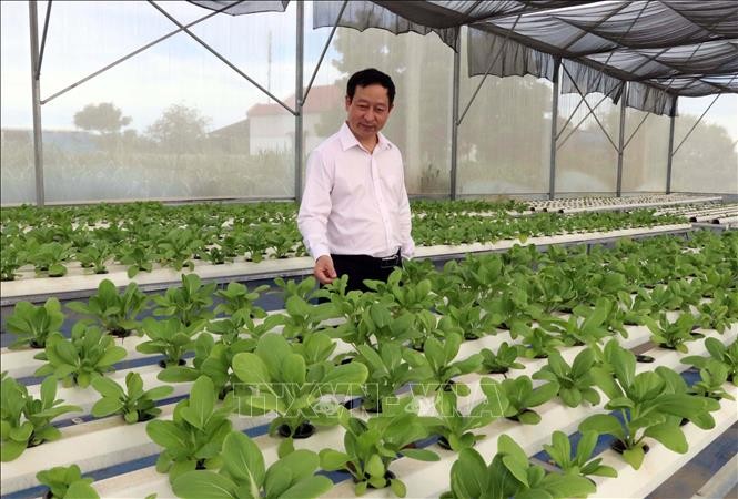 Ninh Thuận tạo động lực thúc đẩy phát triển kinh tế tập thể