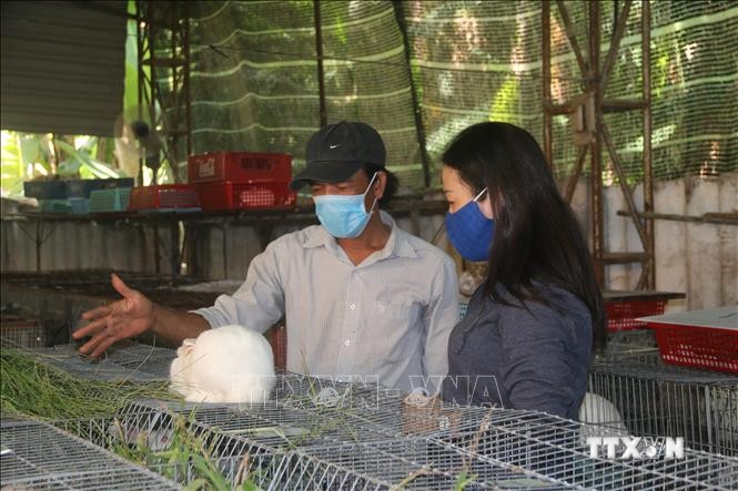 Anh Nguyễn Tấn Hưng trao đổi với người dân tới học hỏi kỹ thuật nuôi thỏ. Ảnh: Hoàng Nhị - TTXVN