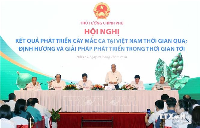 Thủ tướng Nguyễn Xuân Phúc: Cây mắc ca "đi sau nhưng phải về trước"