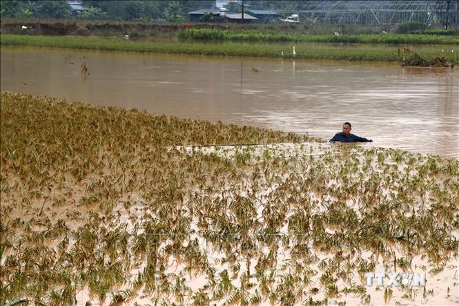 Lào Cai: Mưa lớn gây nhiều thiệt hại, một cháu bé tử vong do lũ cuốn