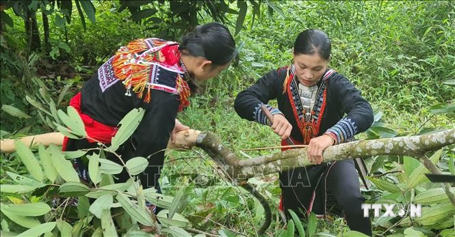 Lào Cai nâng chất lượng cuộc sống khu vực nông thôn, giữ chân phụ nữ ở lại với làng