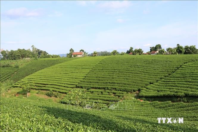 Thái Nguyên có hơn 75% số xã đạt chuẩn nông thôn mới