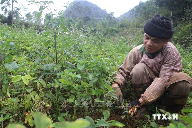 Cao Bằng nâng trách nhiệm của Hội Nông dân trong phát triển nông nghiệp, xây dựng nông thôn mới