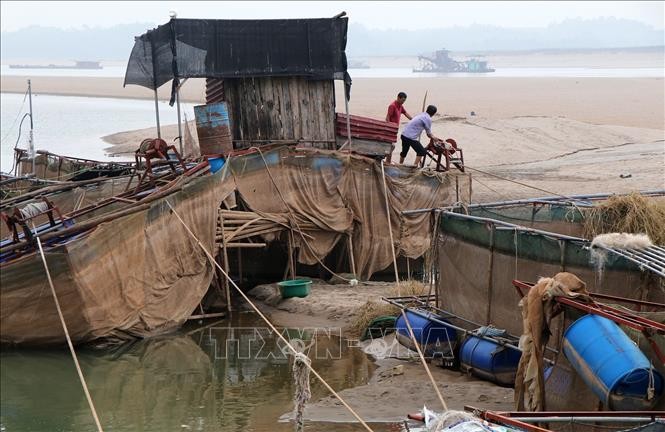 Nước cạn, nghề nuôi cá lồng trên sông Đà gặp khó