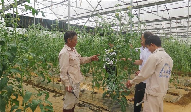 Hiệu quả từ công tác đào tạo nghề cho lao động nông thôn ở Lai Châu