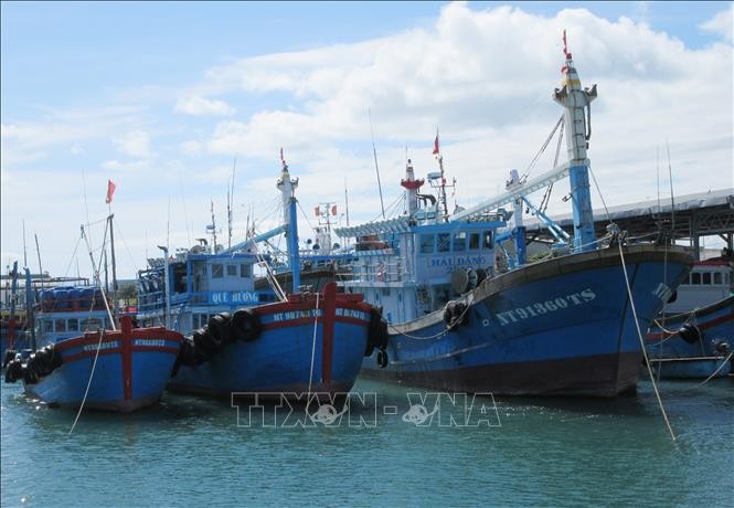 Ninh Thuận đầu tư nâng cao hiệu quả khai thác hải sản xa bờ
