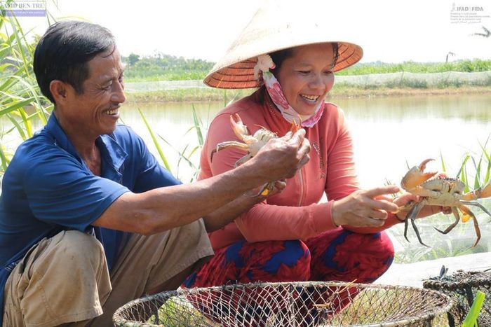 Bến Tre xây dựng các mô hình sinh kế bền vững