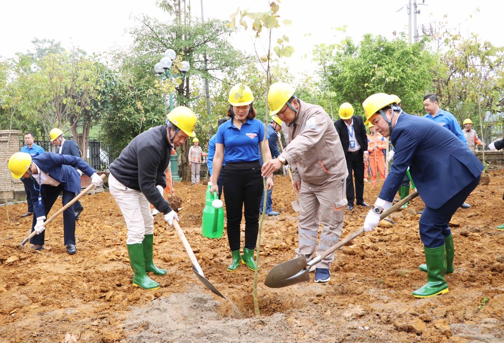Công ty Điện lực Lai Châu phát động Tết trồng cây
