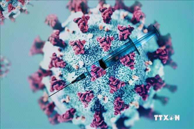 Tế bào T "sát thủ"  - Hy vọng trong cuộc chiến chống các biến thể mới