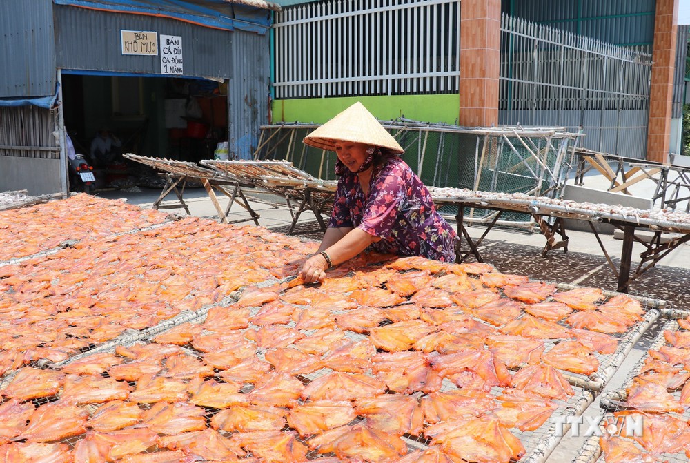 Nghề cá khô truyền thống giúp nhiều nông dân Vàm Láng cải thiện thu nhập