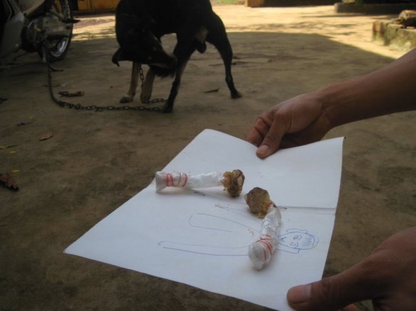 2 cháu nhỏ ở Đắk Nông ngộ độc vì ăn nhầm bả chó hình viên kẹo