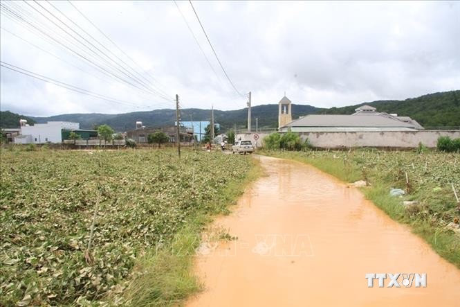 Trận mưa lớn đã khiến hàng chục ha rau, hoa khu vực xã Hiệp An, huyện Đức Trọng, Lâm Đồng bị ngập lụt nghiêm trọng. Ảnh Đặng Tuấn- TTXVN.