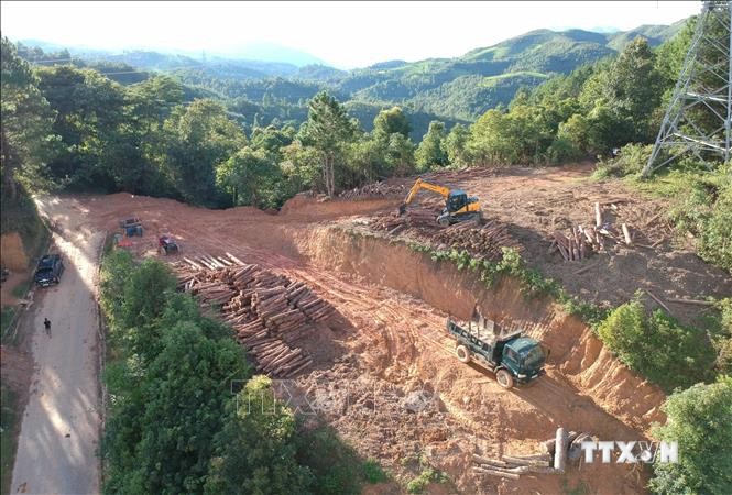 Vụ khai thác trái phép rừng phòng hộ trên đèo Pha Đin: Tạm đình chỉ thêm Chủ tịch UBND xã Tỏa Tình