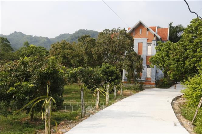Nhãn Bình Ca giúp xã Thái Bình đi đầu trong xây dựng nông thôn mới