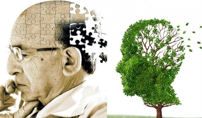 Nghiên cứu về liệu pháp phòng ngừa bệnh Alzheimer ở người cao tuổi