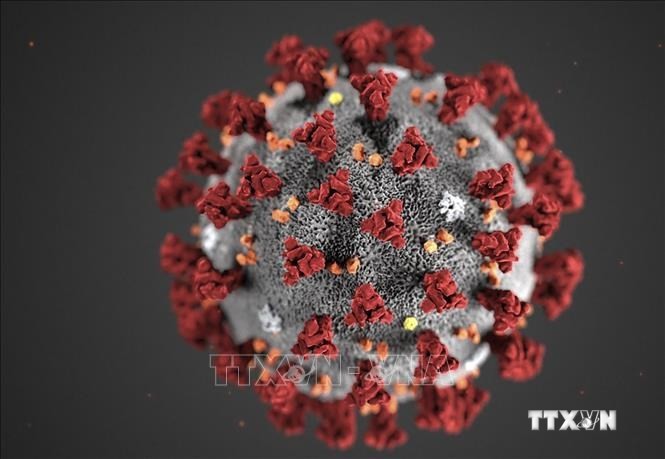 Giới khoa học Thụy Sĩ phát hiện siêu kháng thể chống virus gây bệnh COVID-19