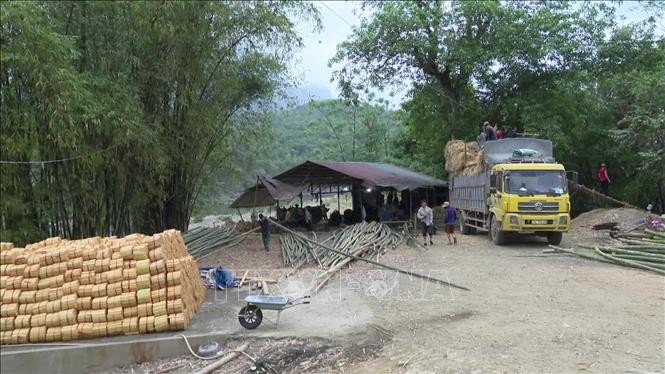 Một cơ sở sản xuất đũa từ nguyên liệu tre, luồng tại xã Tam Lư, huyện biên giới Quan Sơn. Ảnh: TTXVN