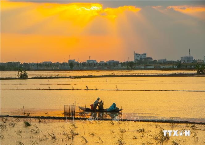 Đề xuất ban hành Nghị quyết mới về phát triển kinh tế - xã hội vùng Đồng bằng sông Cửu Long