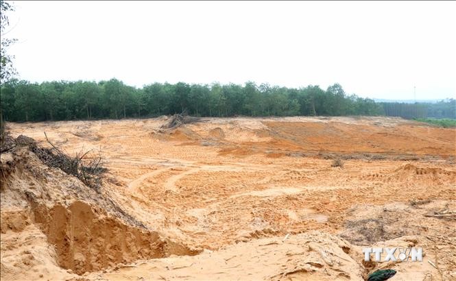 Quảng Trị: Chính quyền lơ là quản lý, các đối tượng ồ ạt đào đất rừng đem bán