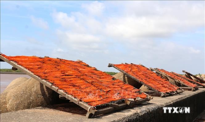 Làng cá khô Gành Hào sôi động vào mùa phục vụ Tết