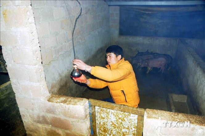 Phòng, chống rét cho đàn vật nuôi ở huyện Vân Hồ